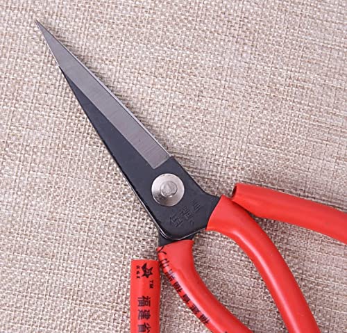 Bonsai Steel Garden Scissor/Cutter