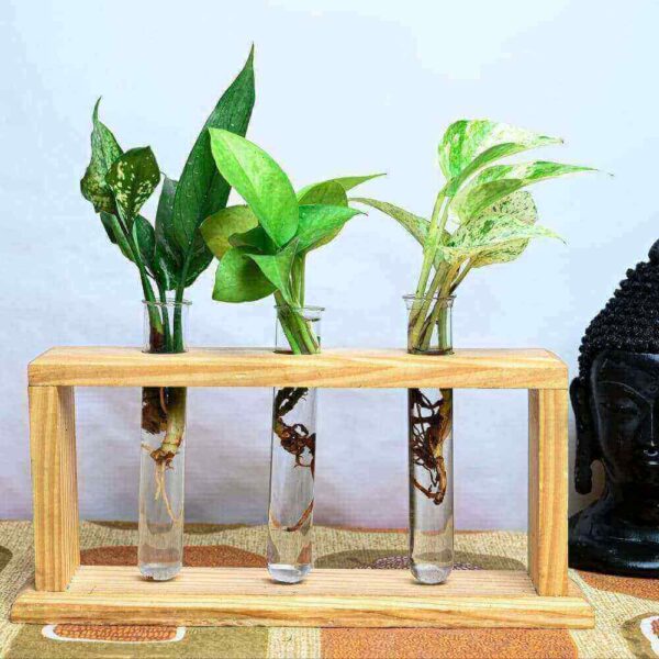 Top Planter With Wooden Stand ( 3 Tubes)