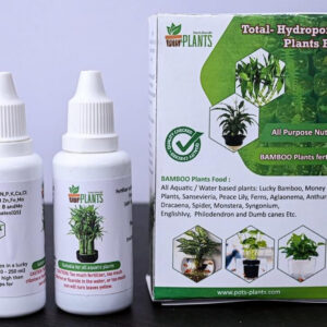Lucky Bamboo Plant Fertilizer (2 Layer,3 Layer,5 Layer,Spiral And All Kind Of Bamboo) - Liquid Fertilizer For All Aquatic Plants
