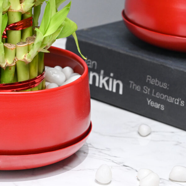 Metal Planter Pot (Matte Red With Drain Plate)