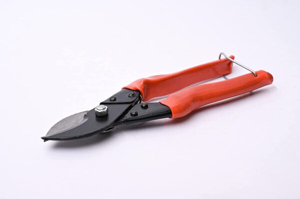 Orange Garden Shears, Garden Pruner, Gardening Cut Tools + Garden Scissor, Garden Shears Pruners Scissor, Cutter