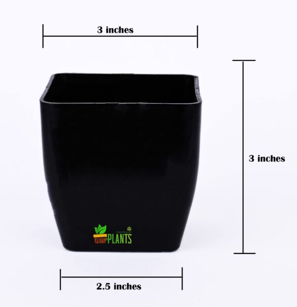 Small Pearl Pot For Indoor Outdoor Plant Pot, Set Of 5 (Size : 3 Inch) (Black)