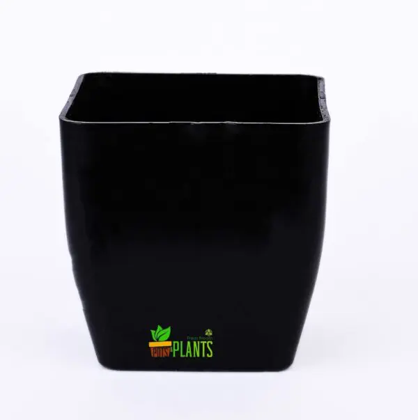 Small Pearl Pot For Indoor Outdoor Plant Pot, Set Of 5 (Size : 3 Inch) (Black)