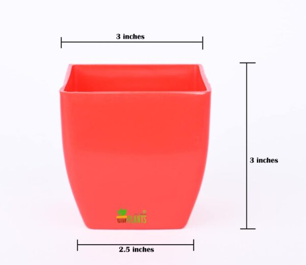 Small Pearl Pot For Indoor Outdoor Plant Pot, Set Of 5 (Size : 3 Inch) (Red)