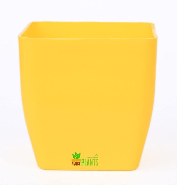Small Pearl Pot For Indoor Outdoor Plant Pot, Set Of 5 (Size : 3 Inch) (Yellow)