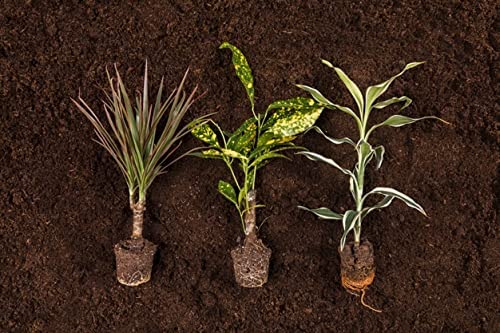 POTS and Plants Organic Vermicompost Fertilizer Manure for Plants