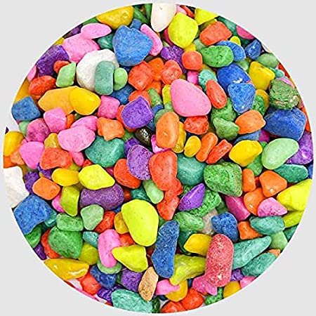 POTS and Plants 500gm,Multi Coloured Pebbles Natural Stones for Garden Flowerpot Aquarium Decorative Multi Color Pebbles Vase Fillings Colored Stones for All The Purpose Pack