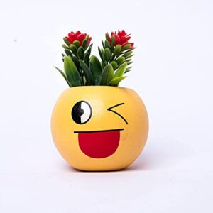 Pots and Plants Cute Expressions Smiley Emoji Plant Flower Pot for Home Desk Balcony Decor