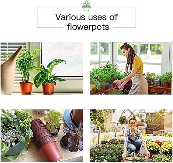POTS AND PLANTS 50 Pcs 6” Thermoform Plastic Nursery Pot/Pots, Plant Pots, Seed Starting Pot Flower Plant Container