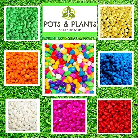 POTS and Plants 500gm,Multi Coloured Pebbles Natural Stones for Garden Flowerpot Aquarium Decorative Multi Color Pebbles Vase Fillings Colored Stones for All The Purpose Pack
