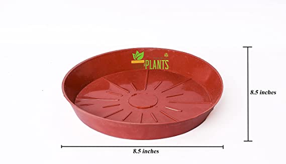 POTS and Plants Plastic Flower Pots, Multicolor, 8.5 Inches, Pack of 10