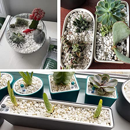Pots and Plants Natural Pebbles Stones for Garden Flowerpot Aquarium Decorative (White)