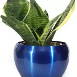 Pots & Plants Metal Pots(5 inches) Multipurpose Pot,flower planter,Without Plant (Blue) Plant Container Set (Metal)